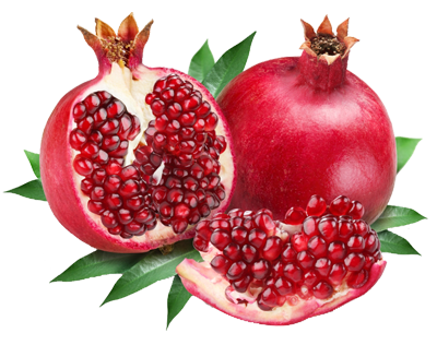 تقویم کوددهی درخت انار