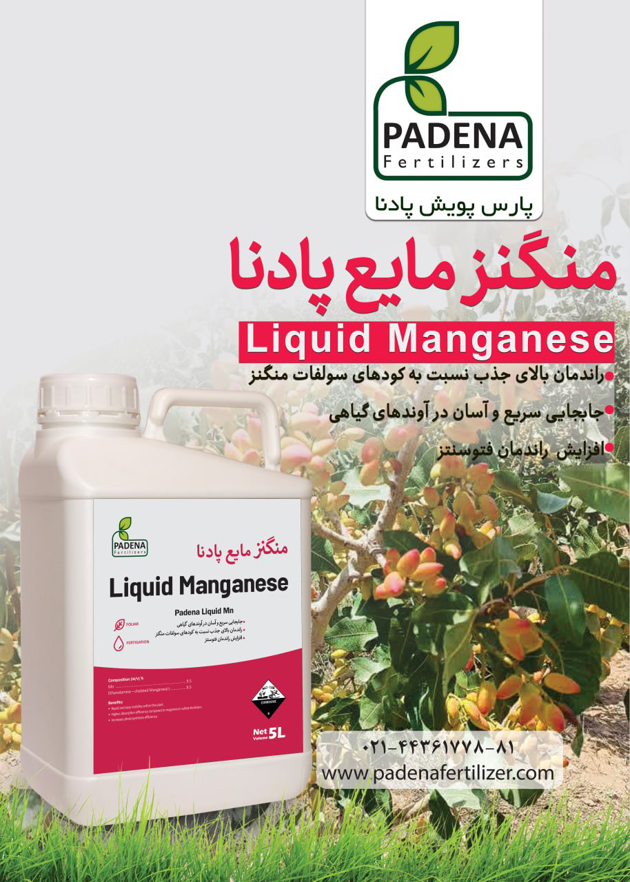 بررسی کارکرد ترکیب منگنز اتانول آمین در شرایط خاک و آب شور و مقایسه آن با سولفات منگنز