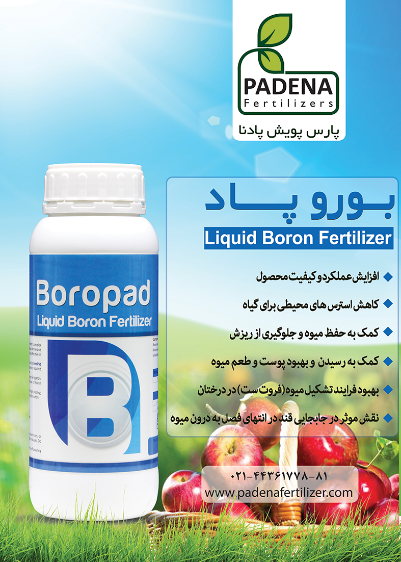 بررسی کارکرد ترکیب بور اتانول آمین در شرایط خاک و آب شور و مقایسه آن با اسید بوریک